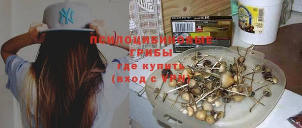 бутират Белокуриха