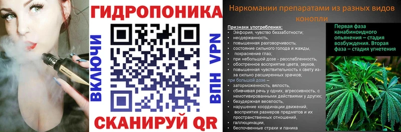 как найти закладки  KRAKEN маркетплейс  Канабис VHQ  Няндома 